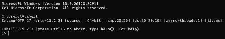 erlang succesful setup